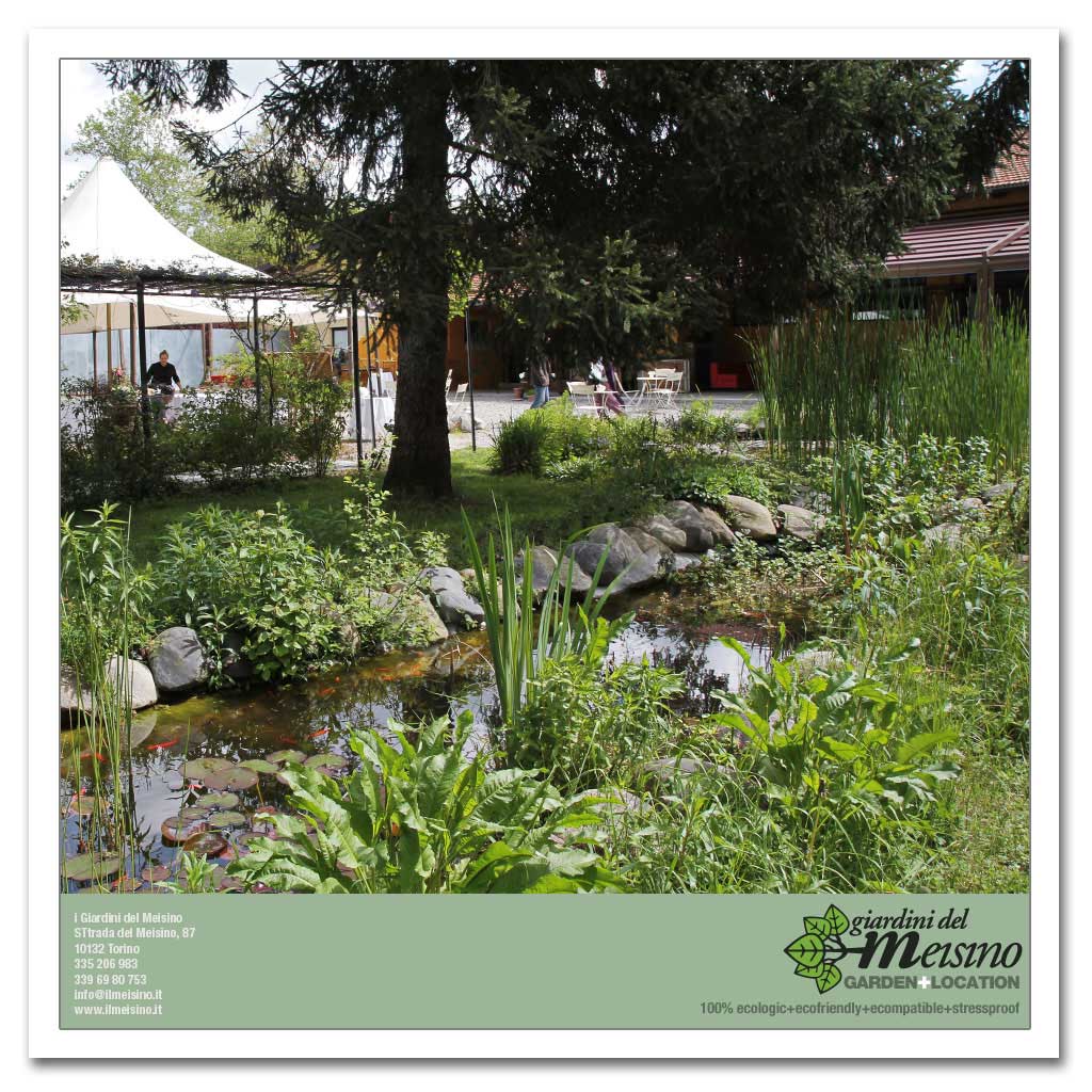 giardini meisino location torino 177